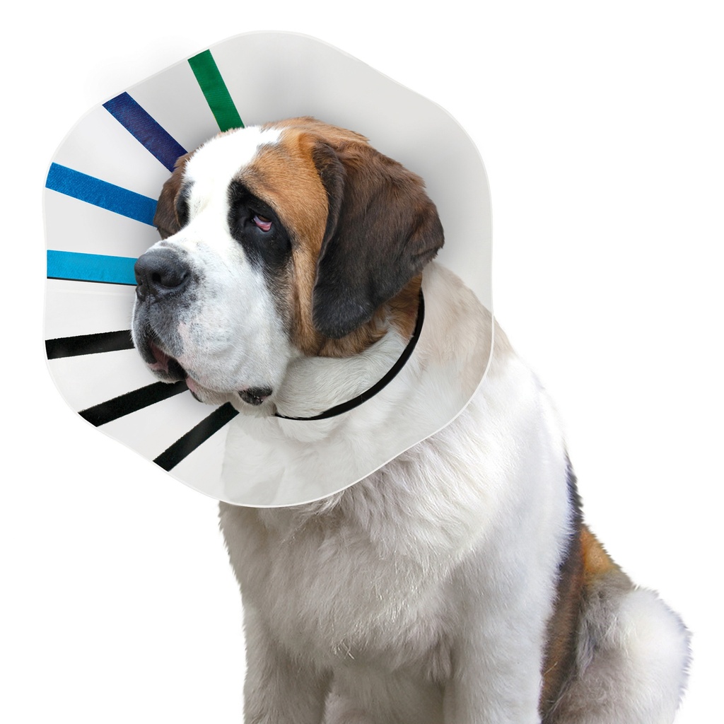 Kong e collar sale